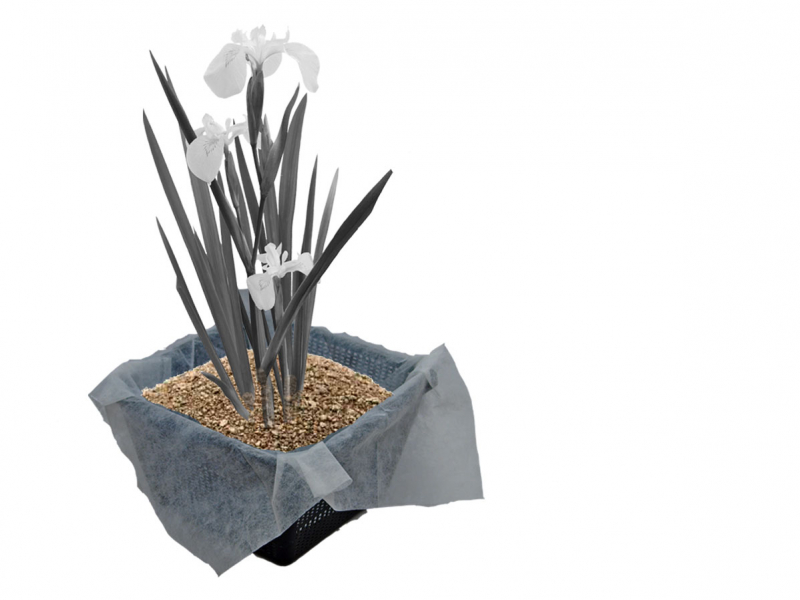 H2O Einpflanz-Set für 2 Pflanzen